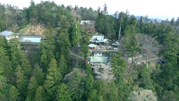 上空からの高尾山薬王院